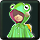 Frog Raincoat