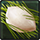 [Event] Songpyon of the Bratty Rabbit