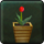 Shard Hearthbloom