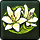Floral Vine Rug