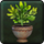 Divinity Guestbloom