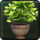 Seasonal Wingfeather Guestbloom