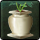 Dye Petal Guestbloom