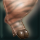 Shaggy Daru Paw
