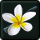 Summer Scent Flower Brooch