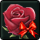 [Event] Beauteous Rose
